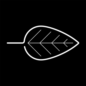 KymberleighBray's avatar